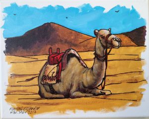 Camel